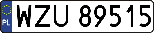 WZU89515