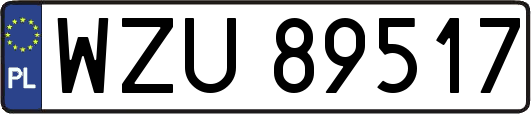 WZU89517