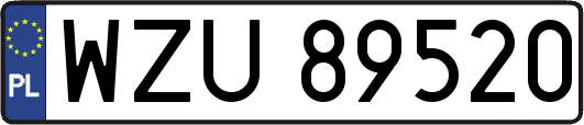 WZU89520