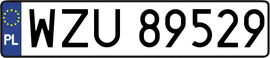 WZU89529