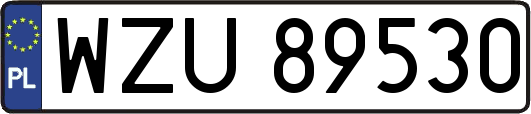 WZU89530