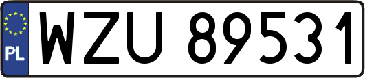 WZU89531