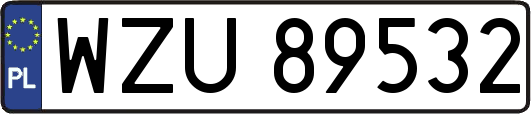 WZU89532