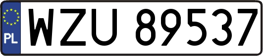 WZU89537
