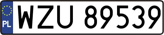 WZU89539