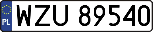 WZU89540