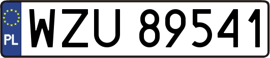 WZU89541