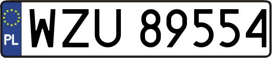 WZU89554