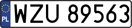 WZU89563