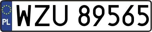 WZU89565