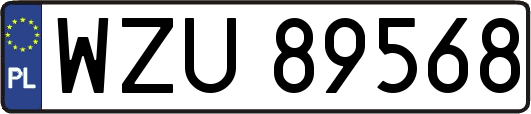 WZU89568