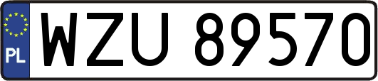 WZU89570