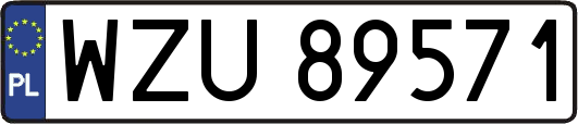 WZU89571