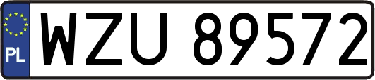 WZU89572