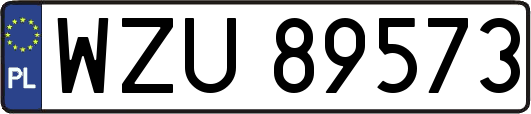 WZU89573