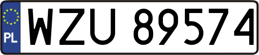 WZU89574