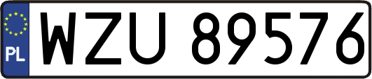 WZU89576