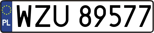 WZU89577