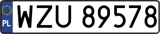 WZU89578
