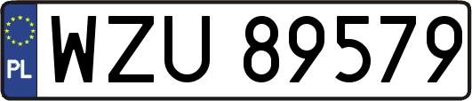 WZU89579