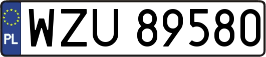 WZU89580