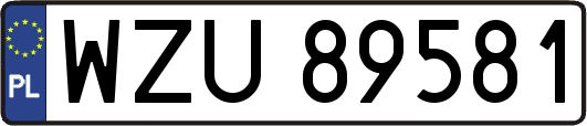 WZU89581