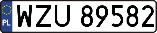 WZU89582