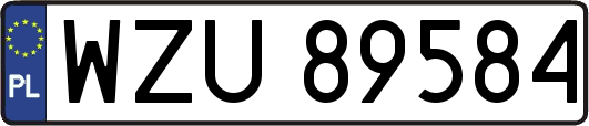 WZU89584