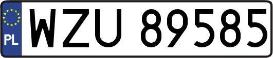 WZU89585