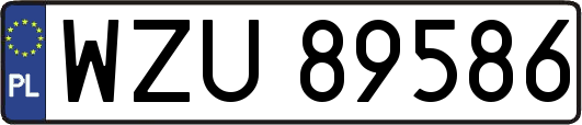 WZU89586