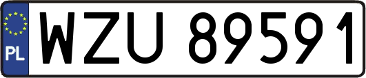 WZU89591