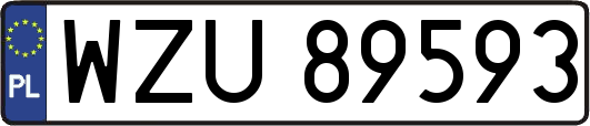 WZU89593