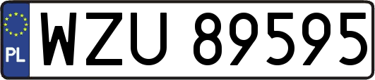 WZU89595