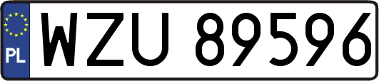 WZU89596