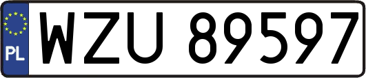 WZU89597