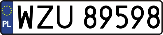 WZU89598