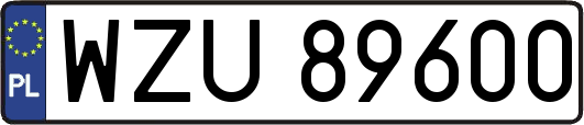 WZU89600