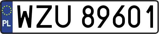 WZU89601
