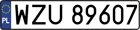 WZU89607