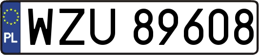 WZU89608