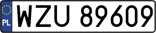 WZU89609
