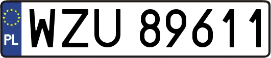 WZU89611