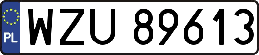 WZU89613