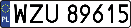WZU89615