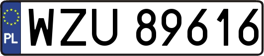 WZU89616