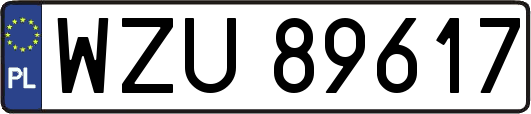 WZU89617