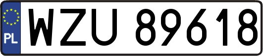 WZU89618