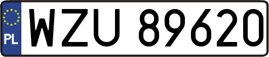 WZU89620