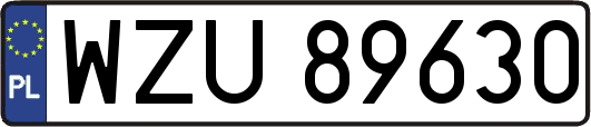 WZU89630