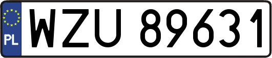 WZU89631